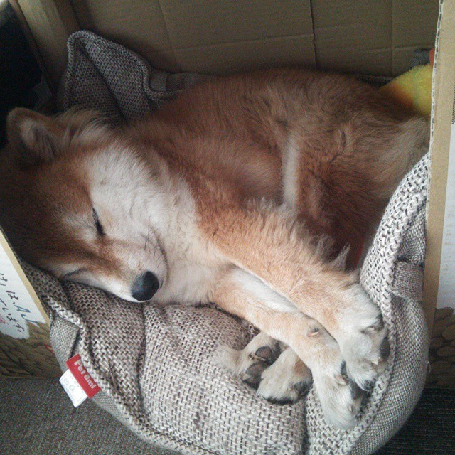 开云·体育官网APP下载-太阳能赛车：能源革新的未来方向，太阳能赛车电路原理图